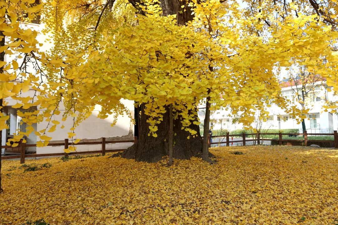 1675291349586174.jpg 微信圖片_20230112212754.jpg