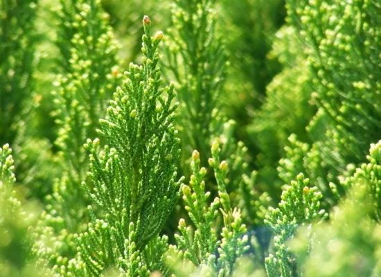 1675291560458003.jpg 微信圖片_20230107193620.jpg