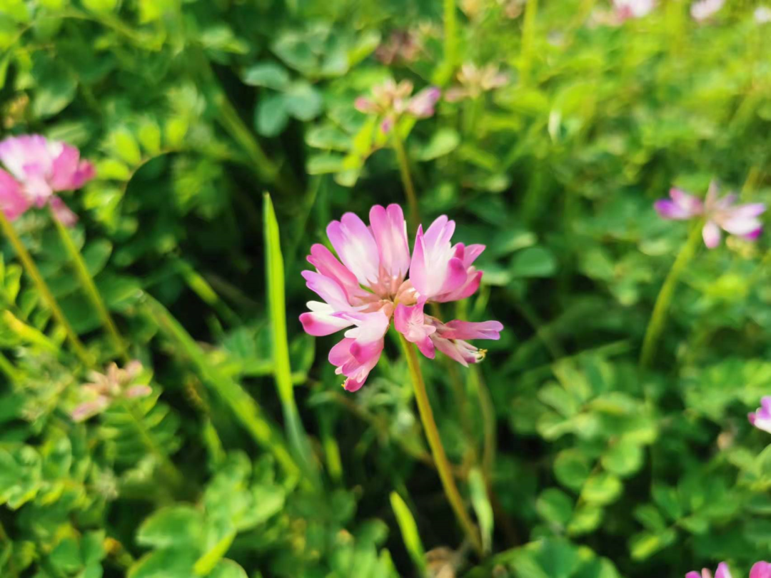 1675291931803623.png 微信圖片_20220926233714.png