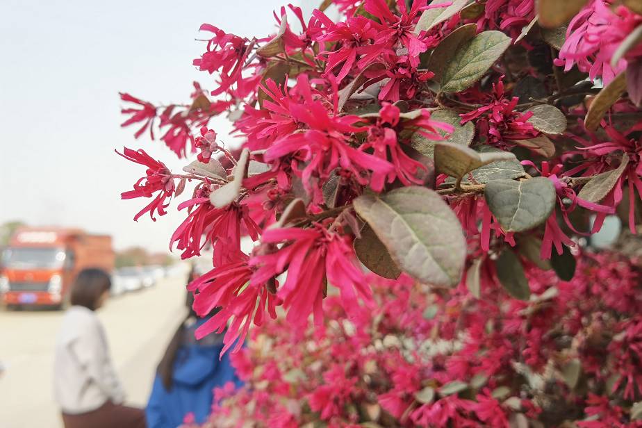 1675292089899852.png 微信圖片_20230201043751.png