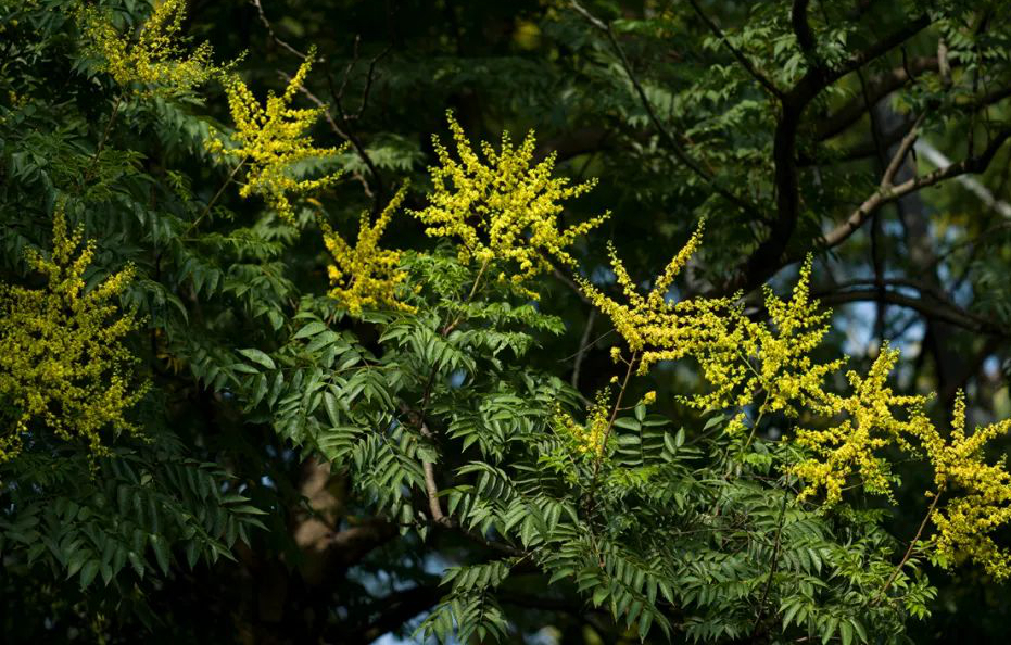 1675292301837280.jpg 微信圖片_20230107200532.jpg