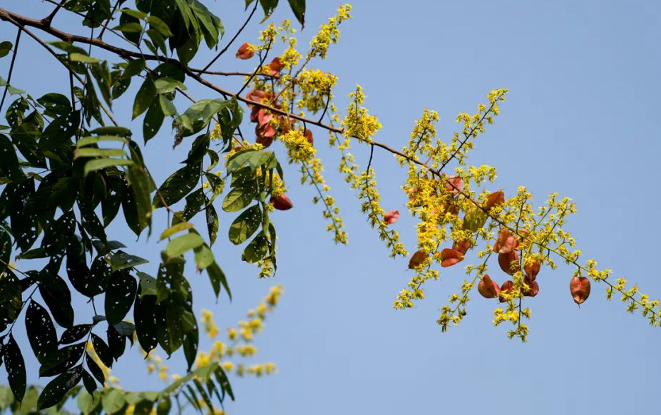 1675292307866801.jpg 微信圖片_20230107200541.jpg