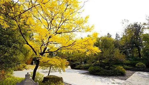 1675519436608329.jpg 微信圖片_20230204220217.jpg