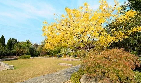 1675519442205131.jpg 微信圖片_20230204220228.jpg