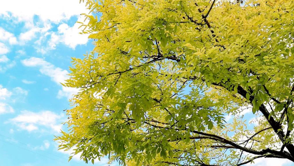 1675519458845978.jpg 微信圖片_20230204220234.jpg