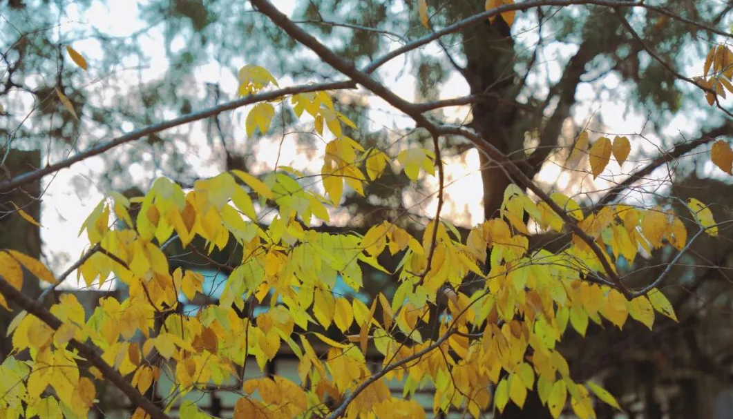 1675697311149768.jpg 微信圖片_20230115185213.jpg