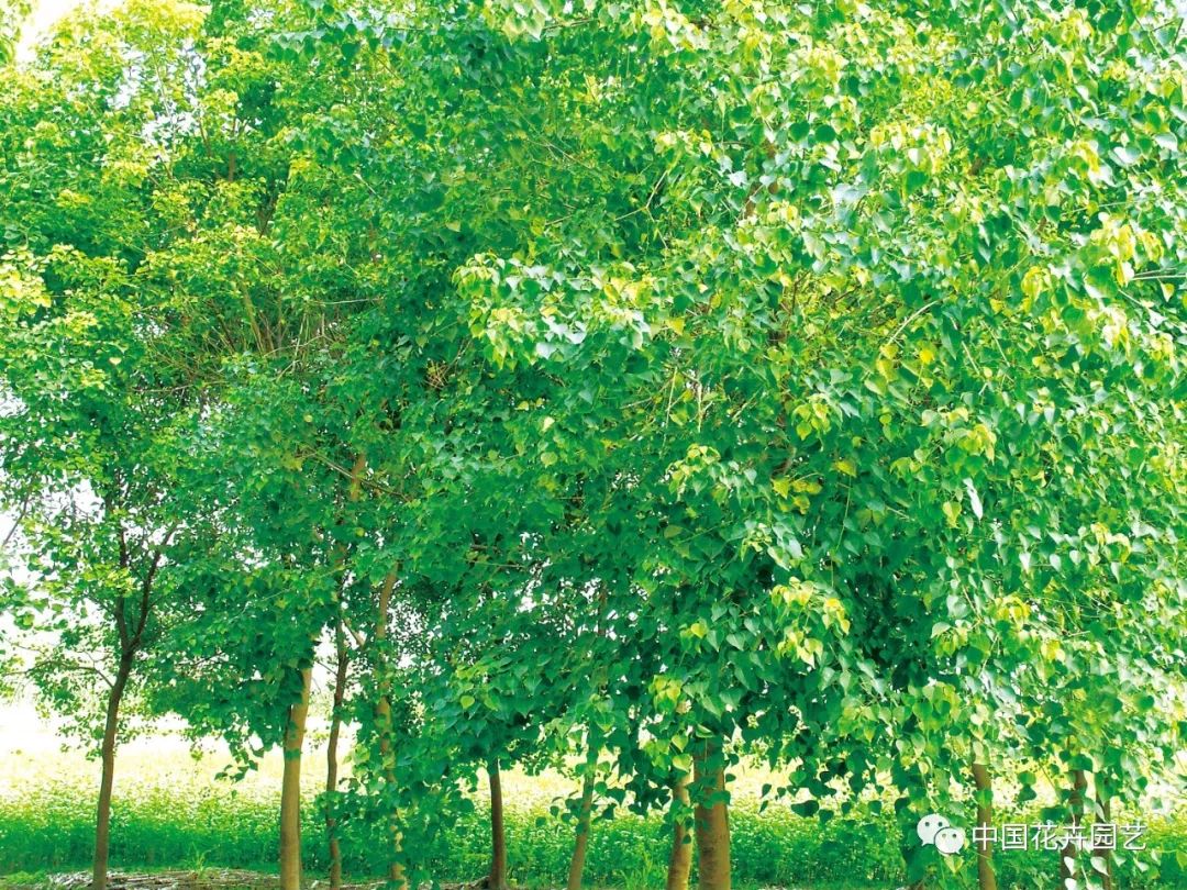 1675697455291852.jpg 微信圖片_20221101145438.jpg