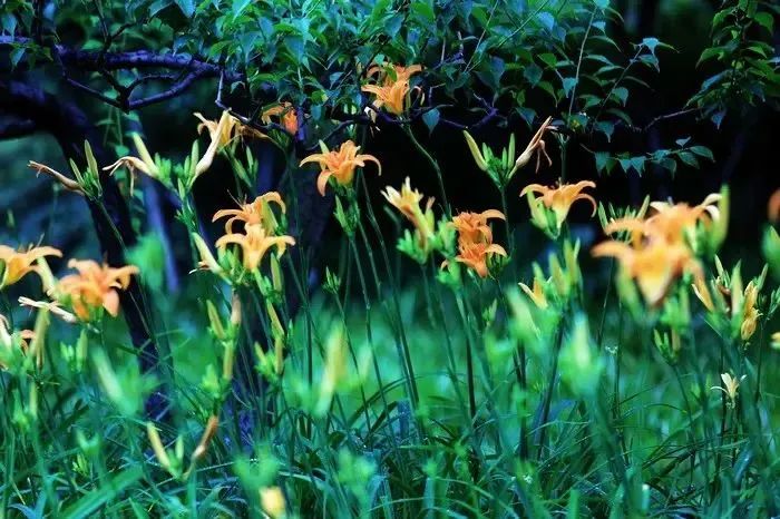 1676581495746410.jpg 微信圖片_20230108122255.jpg