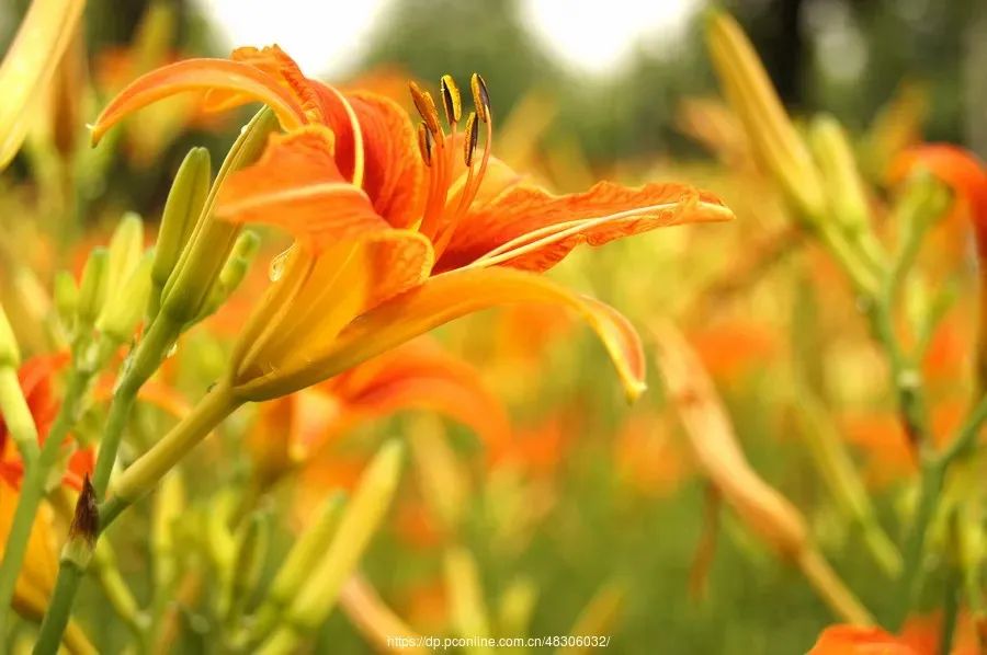 1676581504551243.jpg 微信圖片_20230108122258.jpg