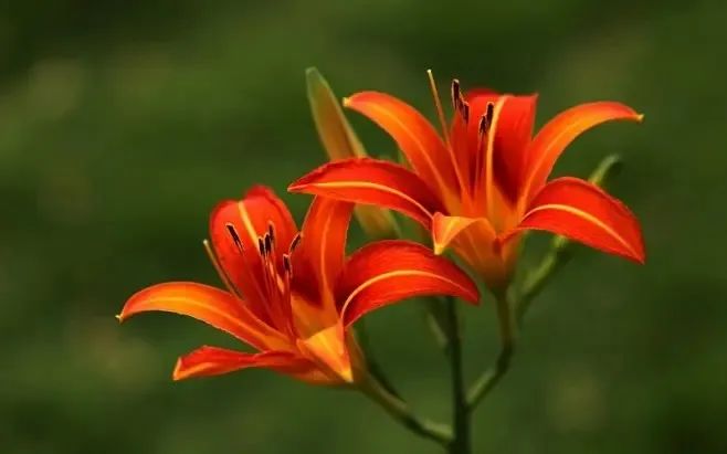 1676581512150650.jpg 微信圖片_20230108122304.jpg