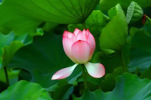 1676582818488714.jpg 微信圖片_20221023221631.jpg