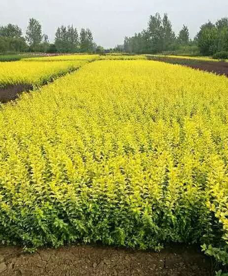 1676582980824353.jpg 微信圖片_20230115191829.jpg