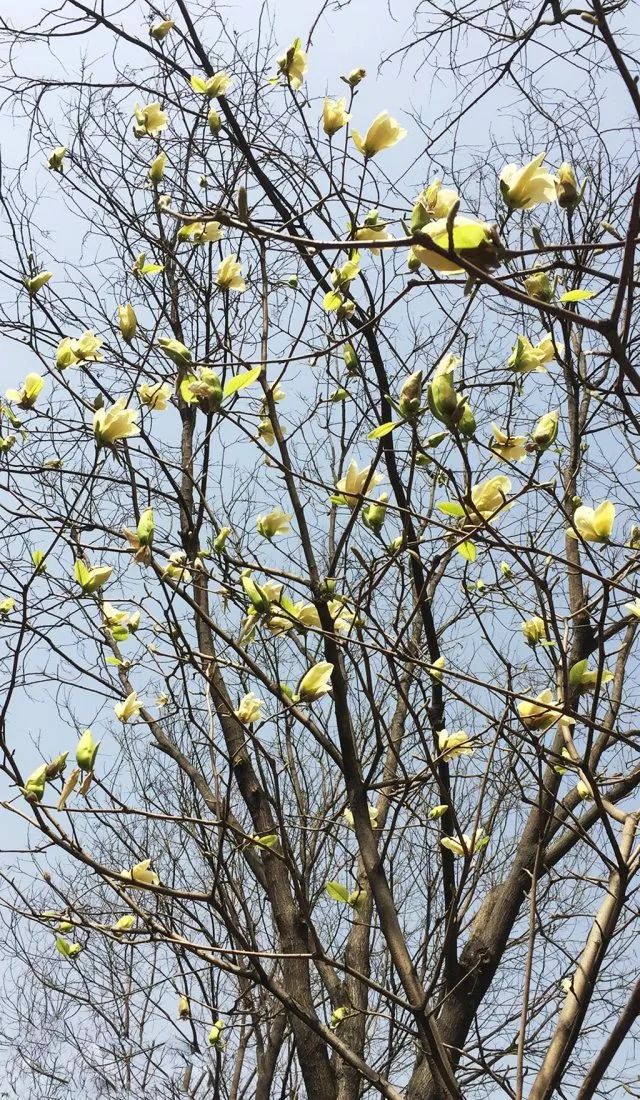 1676583139328762.jpg 微信圖片_20230113055159.jpg