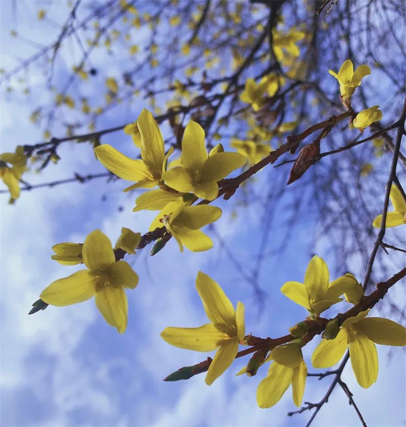 1676583212732908.jpg 微信圖片_20221120165355.jpg