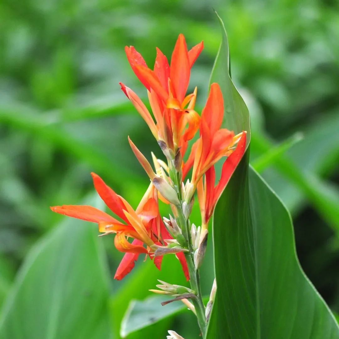 1676583942169294.jpg 微信圖片_20230217054432.jpg