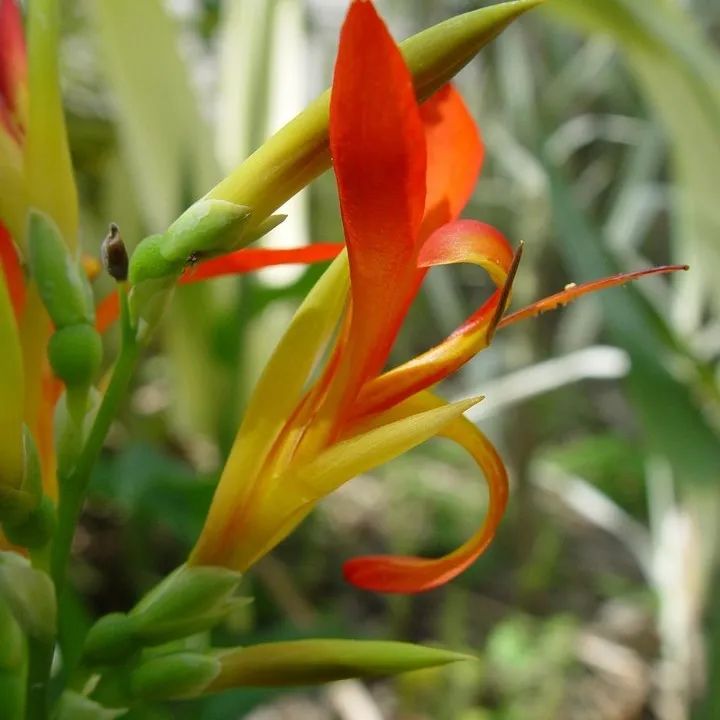 1676583958488325.jpg 微信圖片_20230217054450.jpg