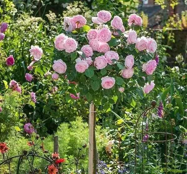 1676894074560211.jpg 微信圖片_20230211070220.jpg