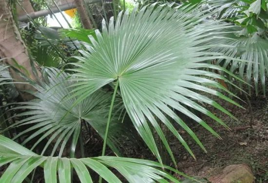 1676895213761412.jpg 微信圖片_20221029111922.jpg