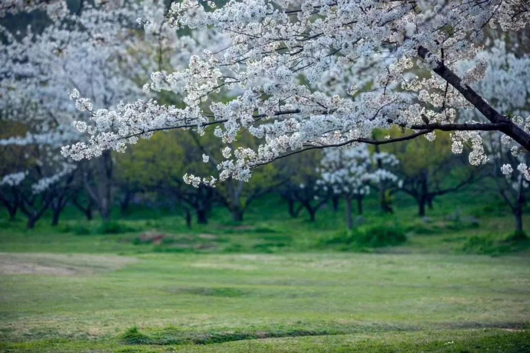 1676895383610635.jpg 微信圖片_20221101160156.jpg