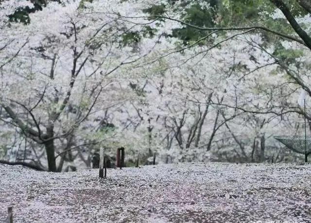 1676895391921989.jpg 微信圖片_20221101160159.jpg