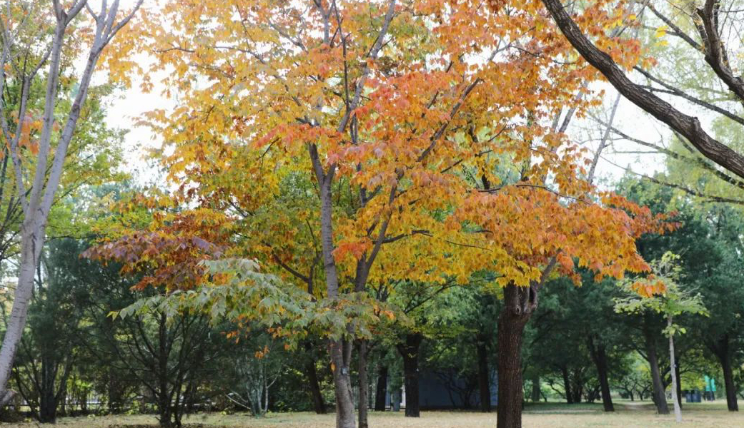 1676895786680633.jpg 微信圖片_20230115185225.jpg