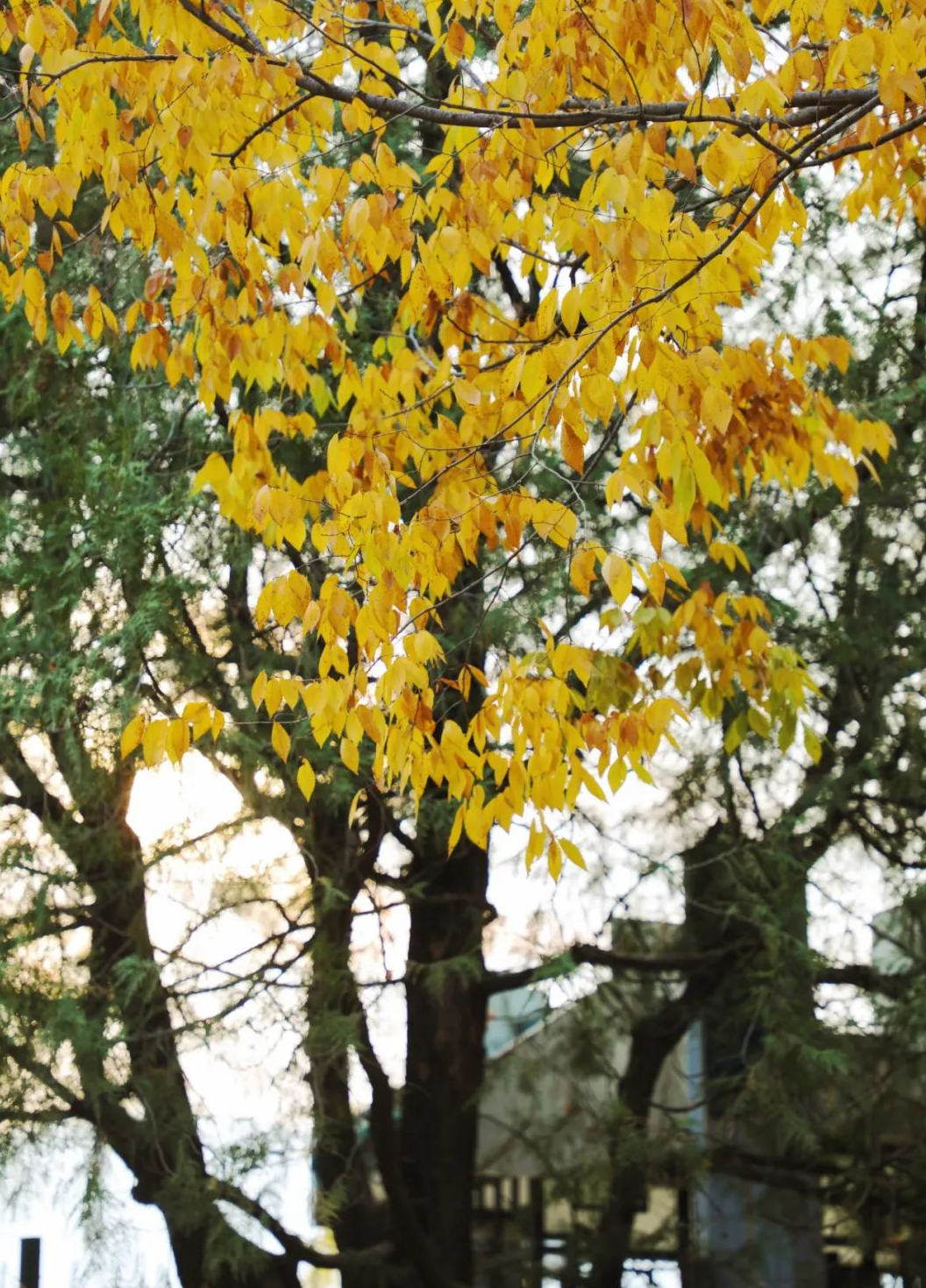 1676895800568788.jpg 微信圖片_20230115185236.jpg