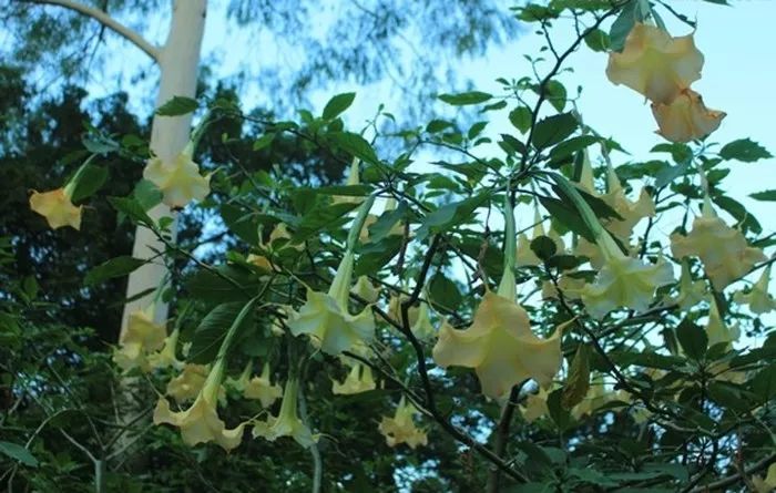 1676896251850723.jpg 微信圖片_20230220202938.jpg