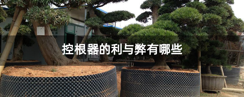 控根器的利與弊有哪些