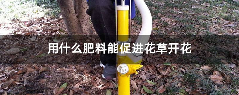 用什么肥料能促進(jìn)花草開(kāi)花