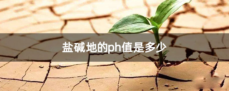 鹽堿地的ph值是多少 鹽堿地的ph值是多少