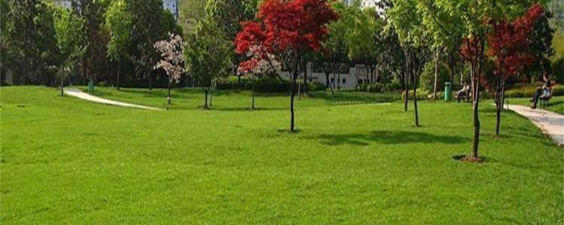 混播草坪主要用哪幾種草種 混播草坪主要用哪幾種草種